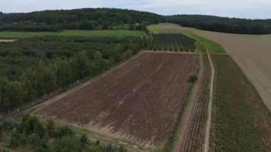 Yemyeşil meyve bahçeleri üzerinde uçan hava manzarası, ekili tarlalar ve ekili arazi, bir yaz günü arka planda ormanları ve tepeleri olan çeşitli tarım arazilerini gösteriyor.