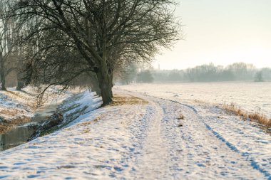 Dar bir nehrin kıyısında, sakin bir kış manzarası boyunca uzanan kar kaplı bir yol berrak, berrak bir gökyüzü altında çıplak ağaçlar, huzurlu mevsimsel sessizliği çağrıştırıyor.