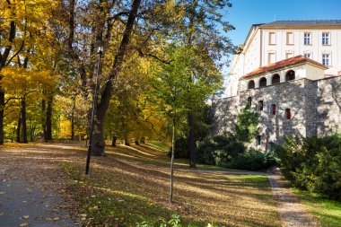 Bir sokak üzerinde sarı sonbahar
