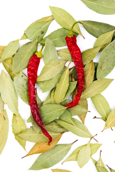 Biber ve defne yaprağı