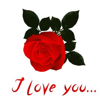 Vektör Resmi: Beyaz zemin üzerinde kırmızı gül olan Valentine.