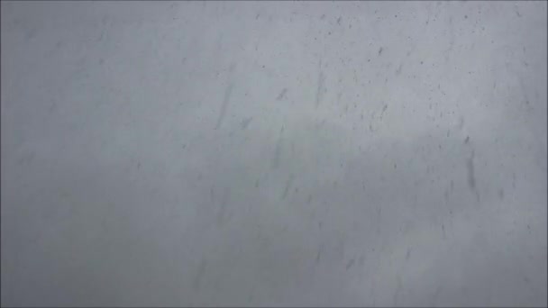 Chute de neige printanière 14 avril 2016, Gatchina, Leningrad, Russie .