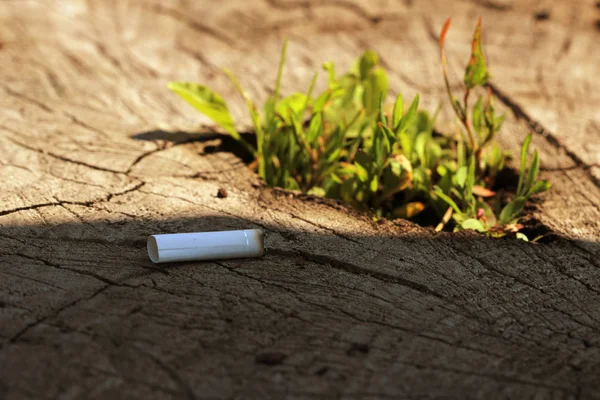 Se zakázaným inzerováním cigarety ležící na pahýl stromu klíčení — Stock fotografie