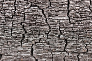 Yanmış ahşap dokusu