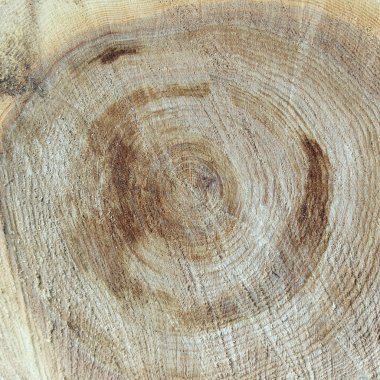 Eski Ağaç kesme doku testere.