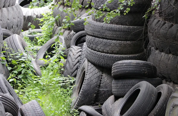 Dumpning Däck Hjulen Det Fria Miljöproblem — Stockfoto