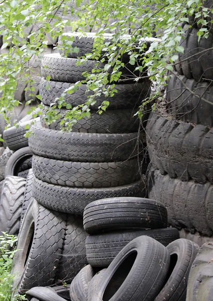 Dumpning Däck Hjulen Det Fria Miljöproblem — Stockfoto