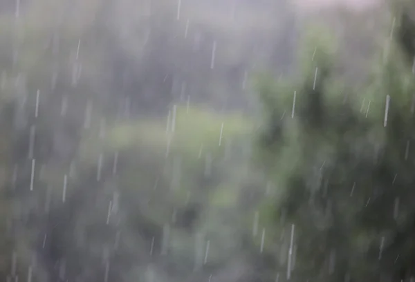 Капли Дождя Черном Абстрактном Фоне — стоковое фото