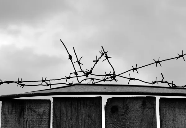 Barbed Wire Dark Fence Monochrome Silhouette Photo — Stock Photo, Image