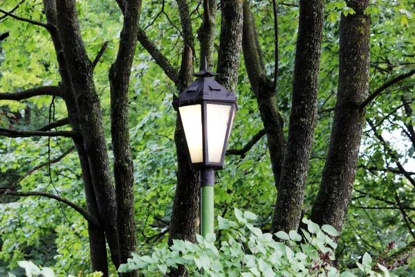 Straatlamp Die Baan Verlicht Het Gatchina Park — Stockfoto