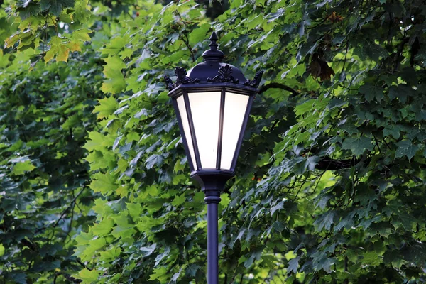 ガッチーナ公園の線路を照らす街灯 — ストック写真