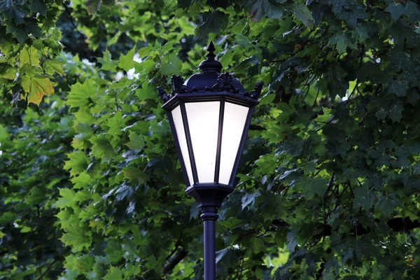 Lâmpada Rua Iluminando Pista Parque Gatchina — Fotografia de Stock