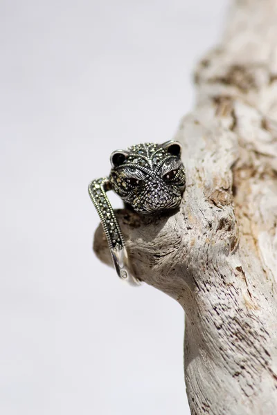 Anillo Plata Diamante Espinela Negra Forma Cabeza Gato — Foto de Stock