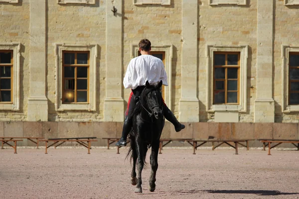 骑着马去对付那些在宫殿前面的沙场上飞奔的种马 — 图库照片