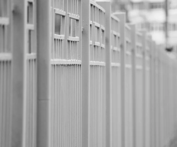 Gray Metal Fence Long Run Background Green Leaf — 스톡 사진