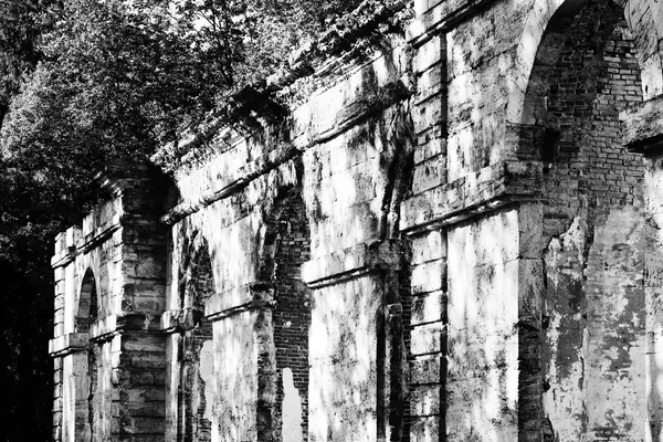 Ασπρόμαυρη Φωτογραφία Ερειπωμένο Κτίριο Δασικό Θερμοκήπιο Στα Κτίρια Πάρκο Παλάτι — Φωτογραφία Αρχείου