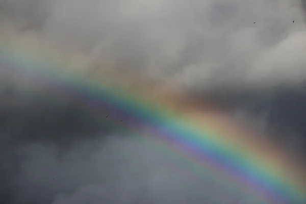 Heldere Kleurrijke Brede Kleurrijke Regenboog Storm Grijze Lucht — Stockfoto