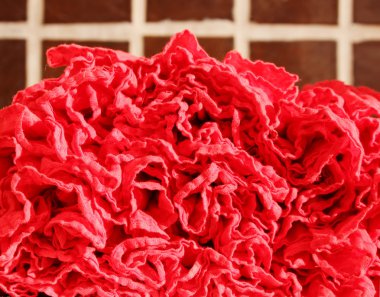 Uzun kuyruklu eteklerin altındaki kırmızı kumaş kıvrımları.