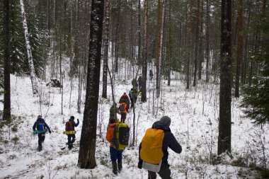 İlk yardım eğitimi. İnsanlar kış ormanlarında çeşitli yaralanmaların yaşandığı yolda yürüyor.