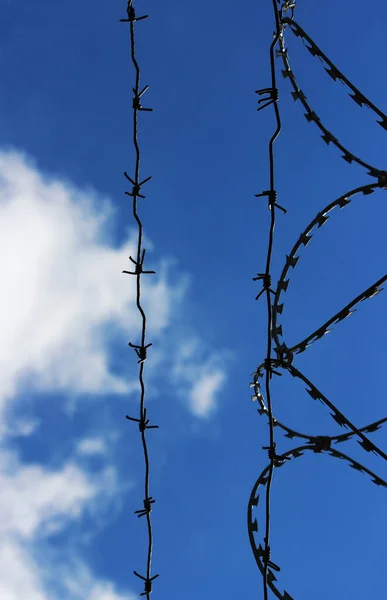 Fil barbelé sur fond de ciel dégagé. Prison et concept de liberté. — Photo