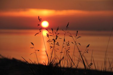 Finlandiya Körfezi Sunrise