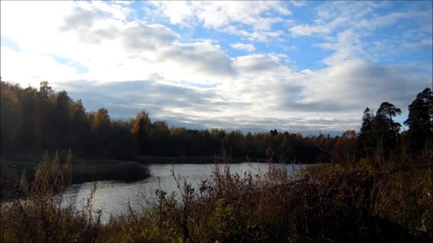 Lac du Prieuré Park à Gatchina .