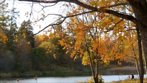 femme fume sur le banc près du lac dans le Prieuré Park Gatchina 