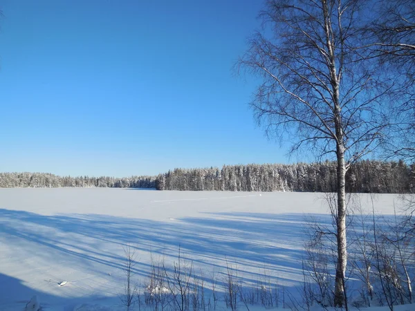 Зимний пейзаж в Карелии, февраль 2015 года . — стоковое фото