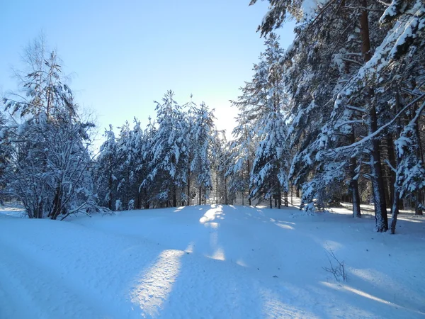 Winterlandschaft in Karelien, im Februar 2015. — Stockfoto