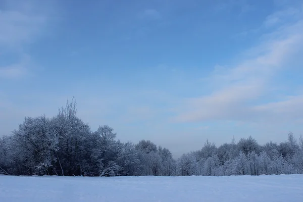 Winterwald nach Schneefall an Weihnachten mitten im Winter. — Stockfoto