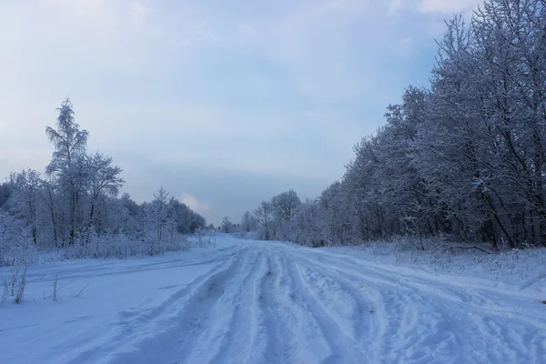 Winterwald nach Schneefall an Weihnachten mitten im Winter. — Stockfoto