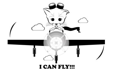 Boso uçakta uçan. Can fly.