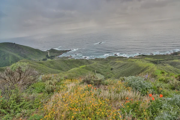 Oceano Pacifico dal Garrapata State Park, Monterey Coast, California centrale — Foto Stock