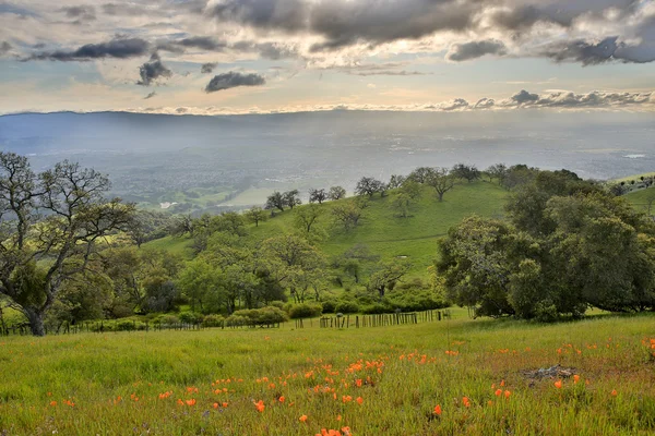 Santa Clara Vadisi, Joseph D. Grant Country Park, Santa Clara County, Kaliforniya, Abd
