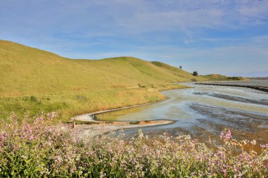 Bay View iz, Coyote Hills bölge Parkı, East Bay, Kuzey Kaliforniya