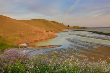 San Francisco Bay Coyote Hills bölge Parkı, Fremont, California Sunset