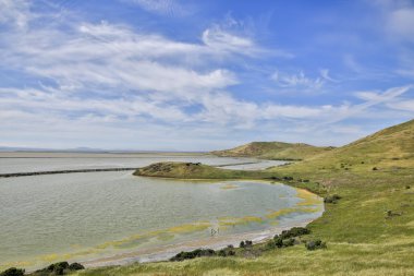 Bay View iz, Coyote Hills bölge Parkı, East Bay, Kuzey Kaliforniya