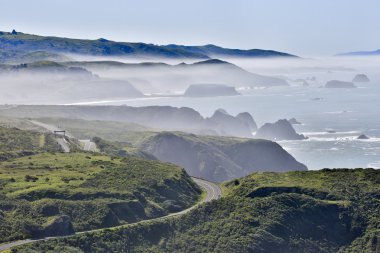Bodega Bay, Sonoma County, Kaliforniya'nın Pacific Coast sisli sabah