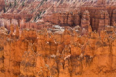 Hoodoos altın ve kırmızı. Bryce Canyon Milli Parkı, Utah, Amerika