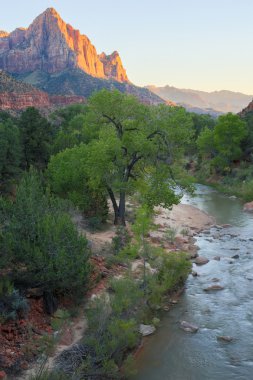 Bekçi ve Virgin River Canyon Kavşağı Köprüsü, Zion National Park, Utah, Amerika