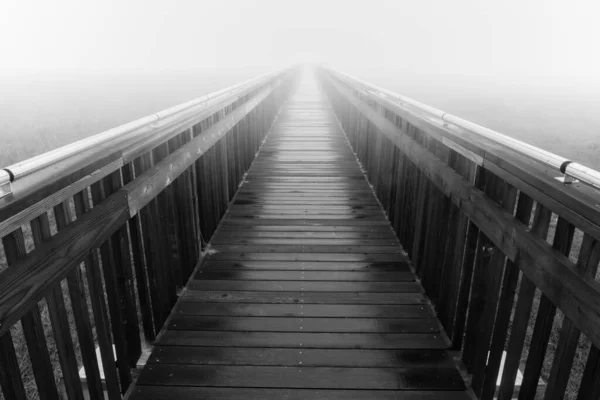 Baylands Nature Preserve Paseo Marítimo Espesa Niebla Matutina — Foto de Stock