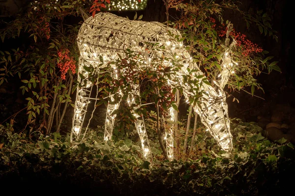 Glittering Reindeer Decorating House Yard Christmas — Stock Photo, Image