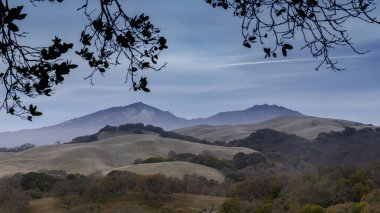 Blue Oaks, Rolling Hills, Diablo Range ve Livermore üzerinden California Central Valley manzarası. Morgan Bölge Koruması, Contra Costa County, Kaliforniya, ABD.