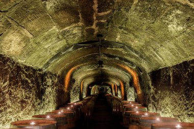 St. Helena, Kaliforniya - 27 Nisan 2019: Napa Vadisi 'ndeki Del Dotto Tarihi Şarap Mağaraları.