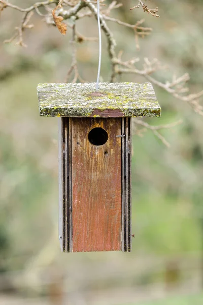 Casa Uccelli Legno Appesa Alla Preservazione Pearson Arastradero Palo Alto — Foto Stock