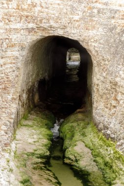 Davenport, Kaliforniya 'daki San Vicente Demiryolu Tüneli Güney Geçidi.