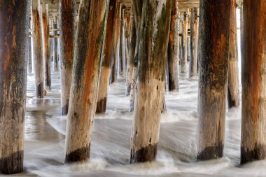 Santa Cruz Rıhtımı 'nın altında, gelgitte. Santa Cruz, Kaliforniya, ABD.