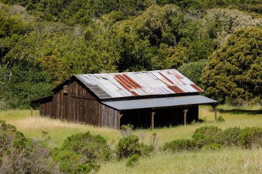 Coal Creek Açık Alan Koruma Alanı 'ndaki eski ahır. San Mateo Eyaleti, Kaliforniya, ABD.