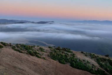 Fremont Peak State Park, Monterey ve San Benito Eyaletleri üzerinden Salinas Vadisi 'nde sis akıyor..