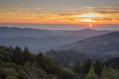 Puslu Orman Rolling Hills Okyanus Sunset Santa Cruz Dağları.